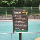 사파동155 이미지