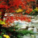 가을이네 이미지