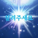 P-7107 | 필리핀 모알보알 DAY4 마지막날 [ 모알보알 프리다이빙 가이드 추천 ]