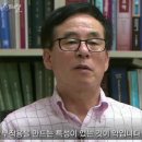 스페셜독 이미지