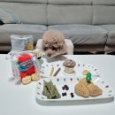 댕's day 이미지