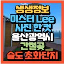 방어진시외터미널 | 생생정보 미스터 Lee의 사진 한 컷 울산광역시 간절곶 슬도 초화단지(+위치 주차장 정보)