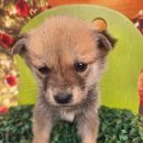 남평읍행정복지센터 이미지