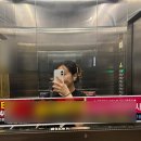 혜원어린이집 | 25_08 푸르른 초록빛 여름🍃