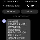 코보약국 이미지