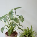 (주)그리니 이미지