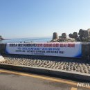 해안물양장 이미지