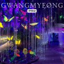 경기도 [광명동굴] 겨울에 방문하기 좋은 실내 여행지 서울 근교 나들이로 추천 (입장권 할인 정보)