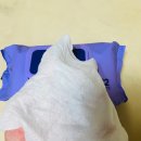 육아필수품 두꺼운물티슈추천 마렌비물티슈