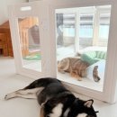 해솔동물병원 이미지