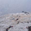 자연쉼터 이미지