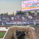 안산에프씨안산FC | 안산와스타디움 안산그리너스FC W석 좌석 시야 주차 매점 후기