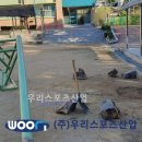 감정중학교 이미지