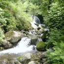 삼일1리 이미지