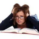 최선어학원 이미지