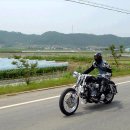 드비취일 이미지