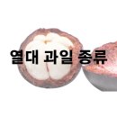 맛있는 열대 과일 종류 알아보기 이미지