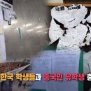 태풍소프트 이미지