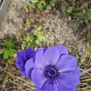 진맥잘보는한의원 | [서초구진맥잘보는한의원]주식중독 자가테스트