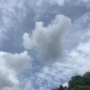 의료법인성하의료재단누가병원 이미지