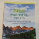 주식회사 브리오