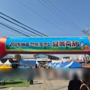 세종전의묘목협동조합 | 2026년 세종 전의 묘목축제 개막 현장 다녀왔어요