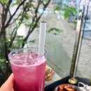 펫츠앤드로 | 강아지랑 가면 만족할까? 앤드테라스 피터펫츠 내유점 6가지 리얼 후기