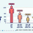 '블랙홀 경기도' 10년새 인구 150만명 증가…사업체도 2배로 이미지