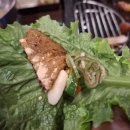 광산구-109 | 첨단맛집 : 초벌구이 삼겹살 맛집 '산꼬작왕소금구이' 솔직후기