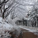 우장산근린공원 이미지