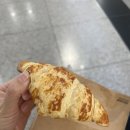 하레하레 이미지