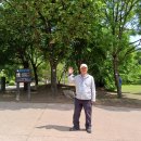 쉬자파크 이미지