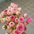 슈퍼센세이션 이미지