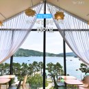 미산애견 이미지