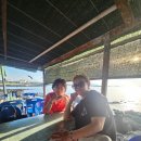 먼나머루 이미지