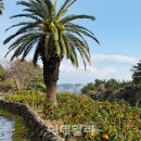 은비치농장 이미지