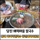 당진 왜목마을 황제 칼국수 당진왜목마을점 방문 후기/문어 한마리가 통으로!