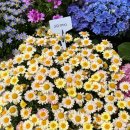 오정식물원 이미지