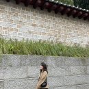 스테이모일