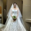 11620-23-10-6 | 셀레브 본식드레스 셀렉 솔직 후기 (10/23 버전: 6벌 피팅)