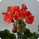 노동초교 이미지