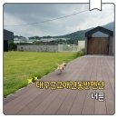 대구근교애견동반펜션 750평 잔디마당에 독채라 더 좋았던 경산 너른 내돈내산 후기