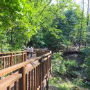 우면산 (서초약수터) 이미지