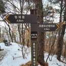 용인이씨 묘역 및 이보혁 신도비 | (용인) 정암 조광조 묘소, 한양조씨 묘역, 용인 광교산