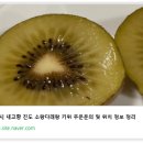 소랑다래랑 네이버블로그