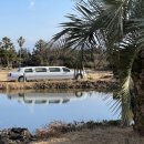 오크라리조트 이미지