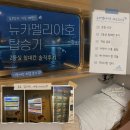 8천호하선 음료자판기 | 뉴카멜리아호 2등 침대실 후기｜부산에서 후쿠오카 배 타는법, 소요시간·멀미·캐리어 꿀팁 총정리