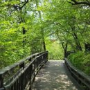 장안지구 유수지 이미지