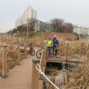 안산천1 이미지