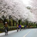[어린이도서관 연계] 놀러와, 이야기 숲으로 (5월) | ✨ 2026 봄 여행 할인·한달살기·웰니스관광 총정리｜함양 한 달 여행부터 광주·제주·전남 숙박세일...